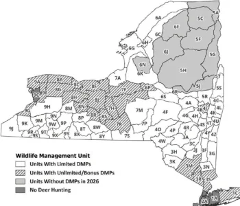 Ready to deer hunt? The New York checklist
